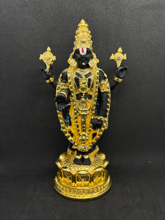 Silver Coated Tirupati Balaji Big Size